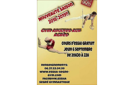 gym adultes