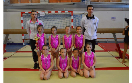 championnat départemental fédéral GAF